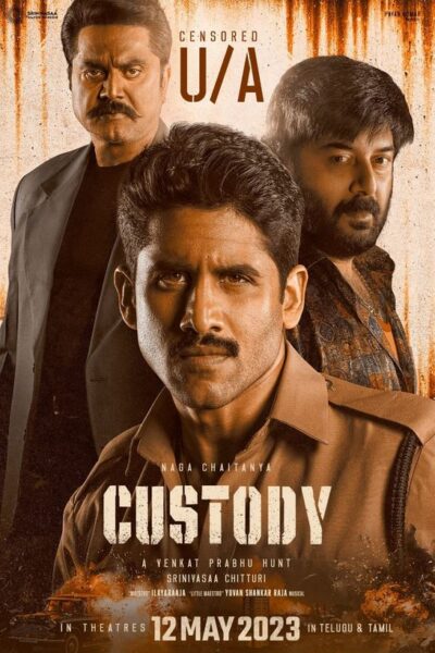 custody