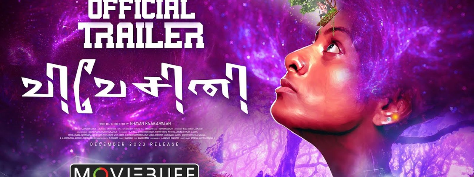 vivesini-banner